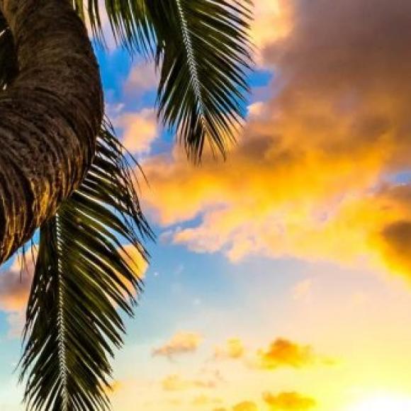 Hawaii Test Image